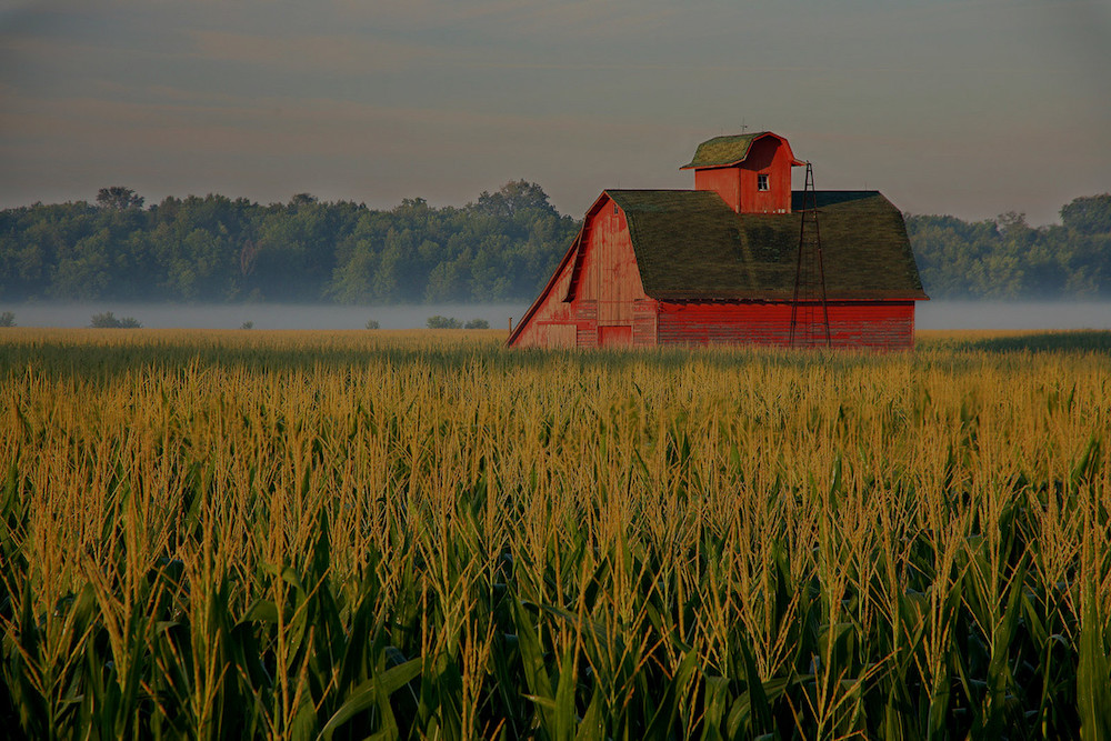 farm and crop insurance Vidalia GA